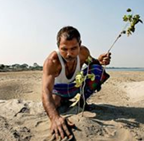 Jadav Payeng planting a tree