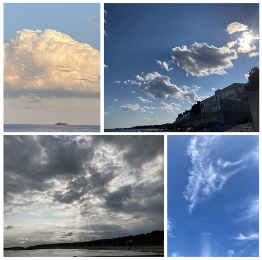 The many faces of clouds