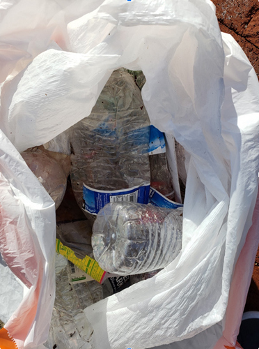 Some of the plastic trash picked up during the Serve Nature Project