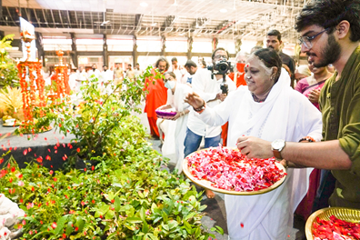 Amma blessing plants