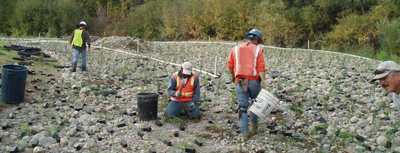 Habitat restoration crew