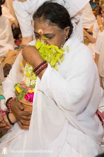 Amma blesses a plant