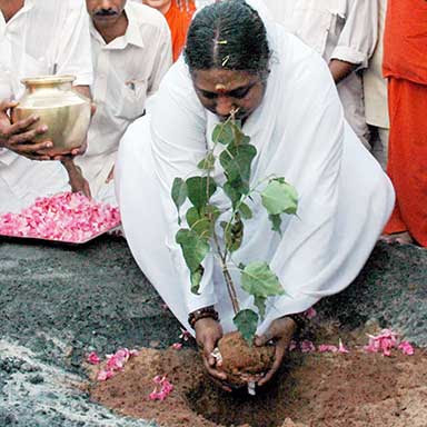 Amma planting a tree