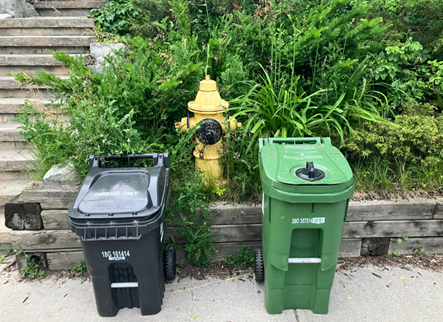 Garbage bin and green waste bin at the curb for pickup