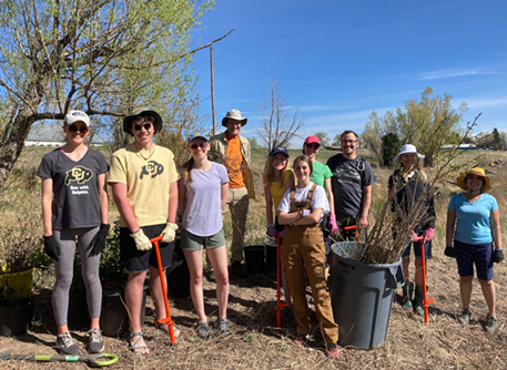 Colorado tree planting crew