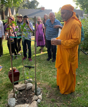Swami Dayamritananda Puri blesses the Tree of Awakening