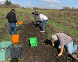 Volunteers on the farm