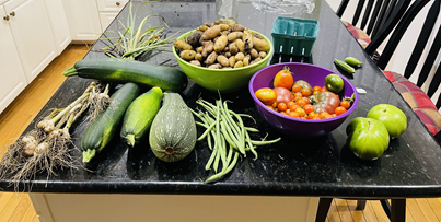 Harvest from the garden