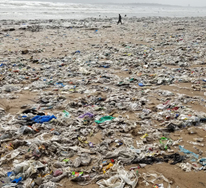 An Indian State Bans Plastic Bags