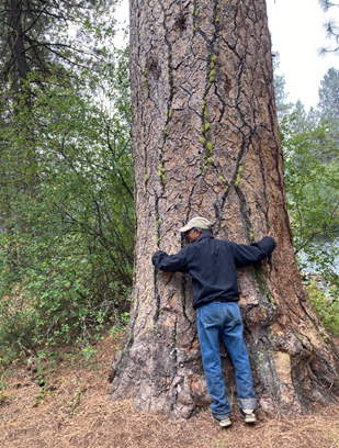 Hugging a big Pondorosa Pine tree in Central Oregon
