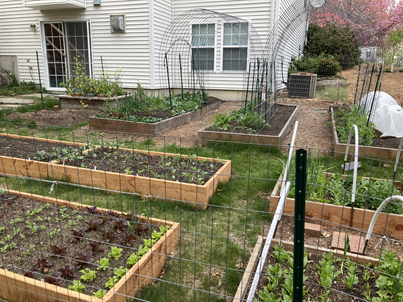 The garden at the beginning of the season when we first plant the seedlings