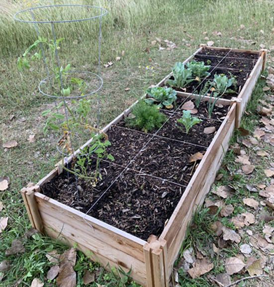 My first raised bed