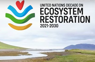 Ecosystem Restoration 2022