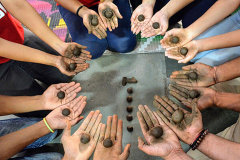 Many hands with seed balls