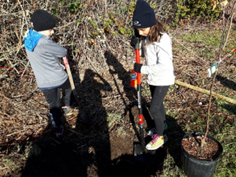 Young tree planters